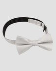 Textured Silk Bow Tie