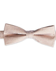 FORMAL PAISLEY SILK BOW TIE