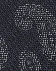 SPECKLED PAISLEY TIE