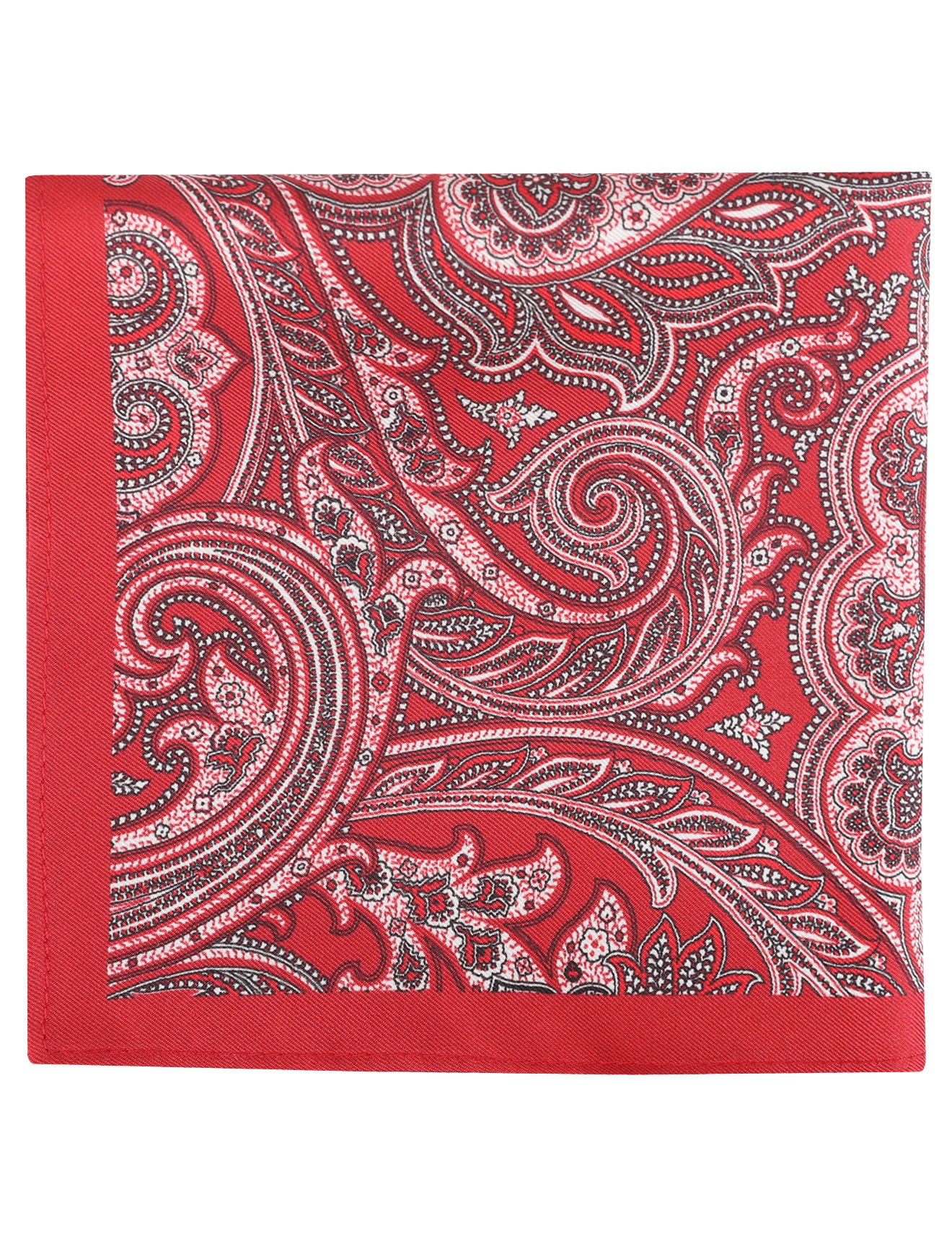 Paisley Pocket Square With Border