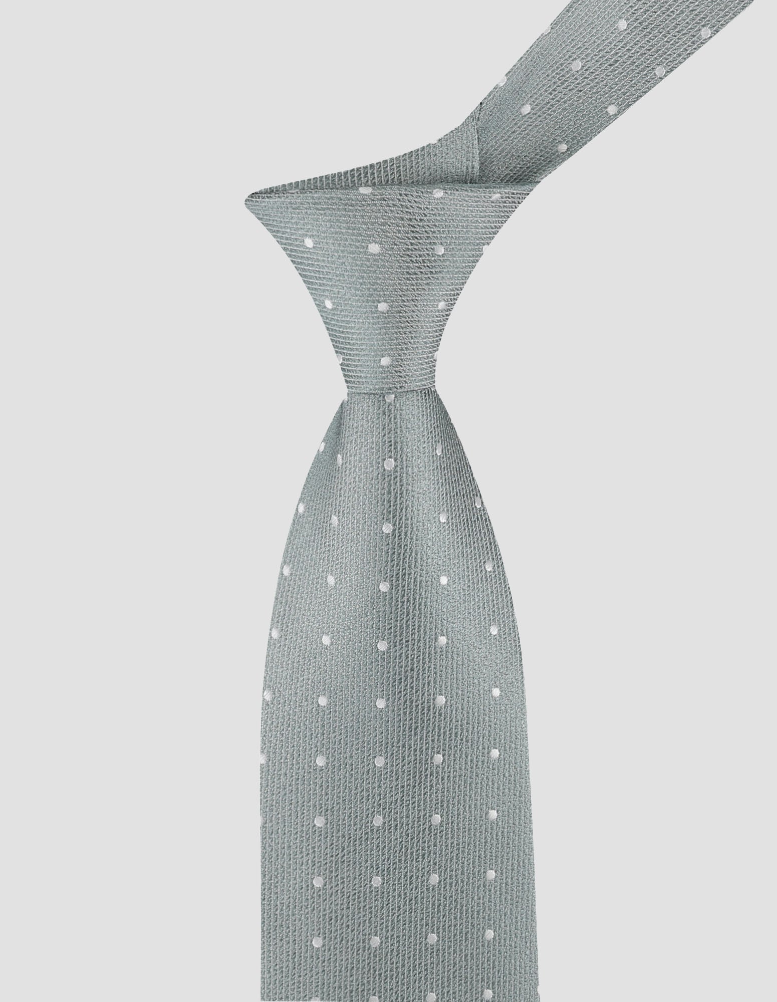 Formal Paler Spot Tie