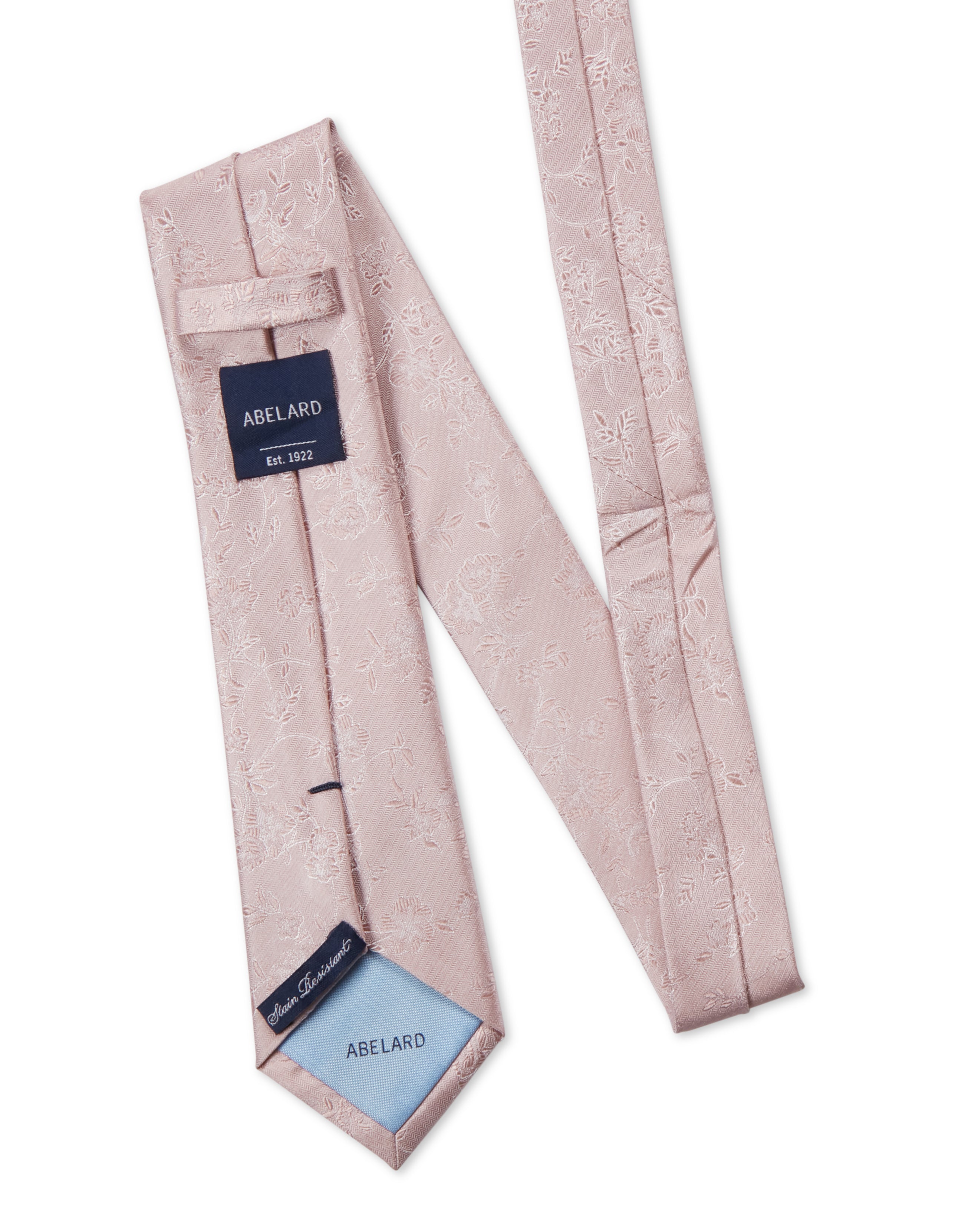 FORMAL SILK PAISLEY TIE