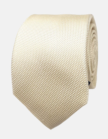 Formal Silk Tie