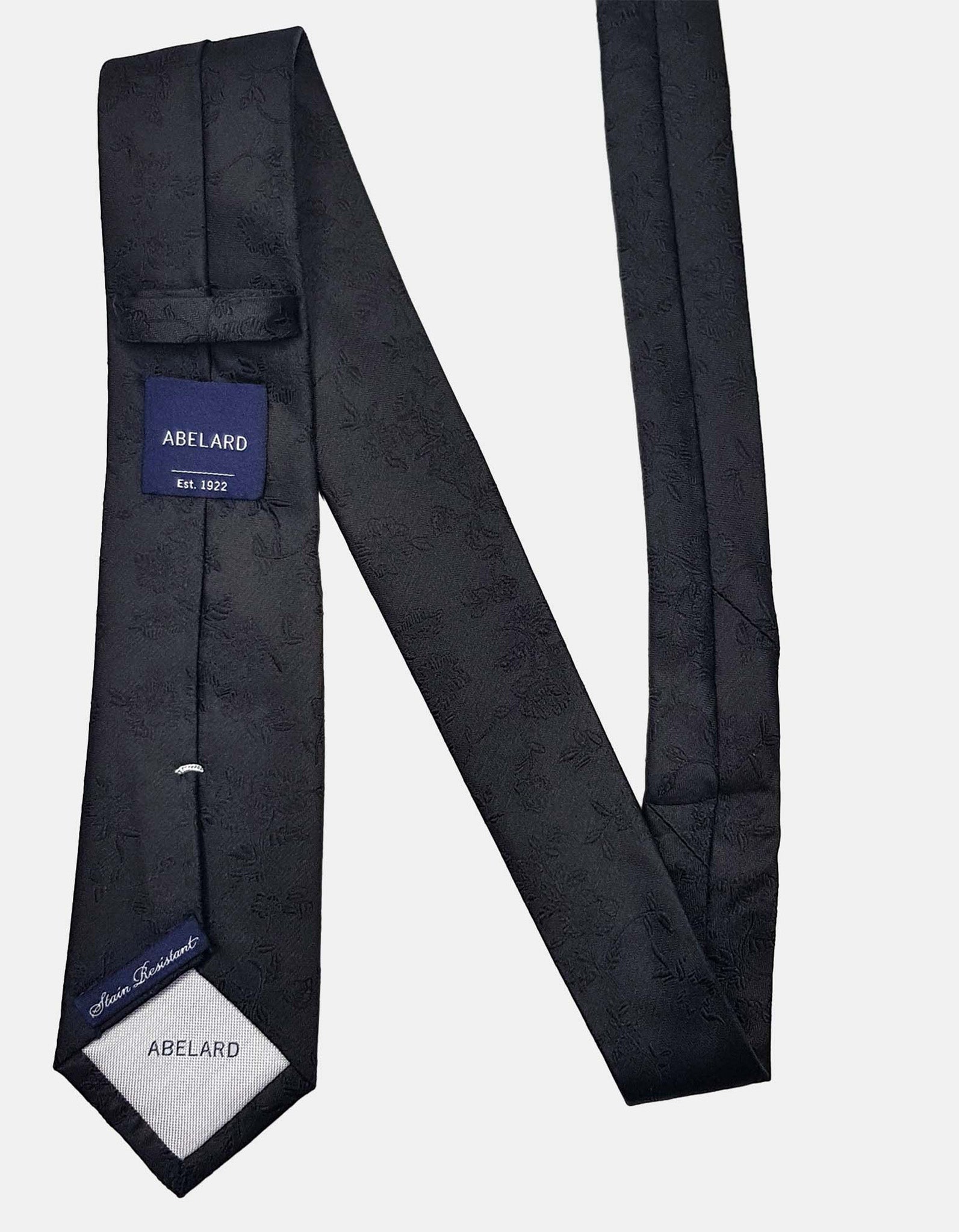 FORMAL SILK PAISLEY TIE