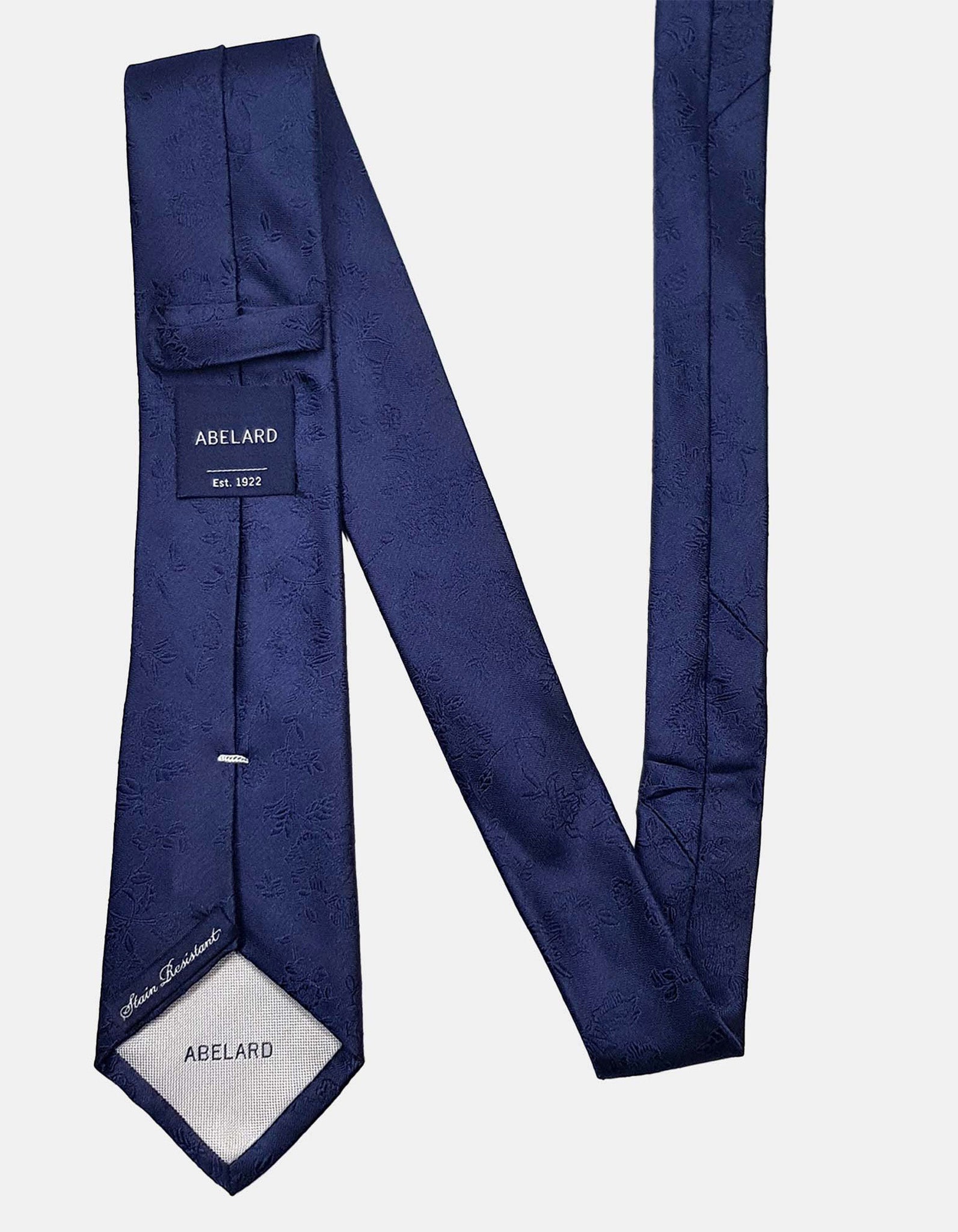 FORMAL SILK PAISLEY TIE