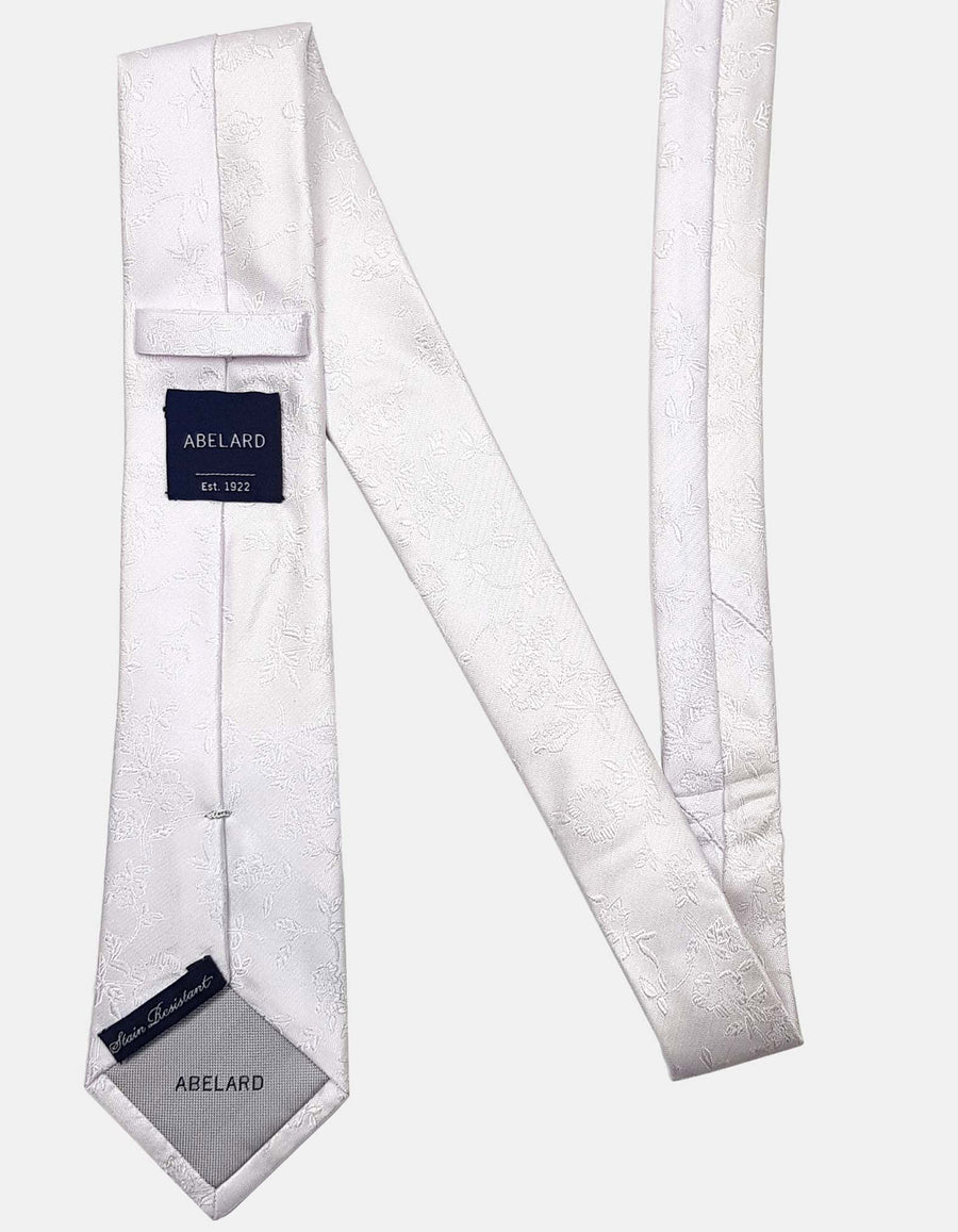 FORMAL SILK PAISLEY TIE